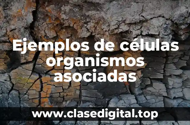 Ejemplos de células organismos asociadas