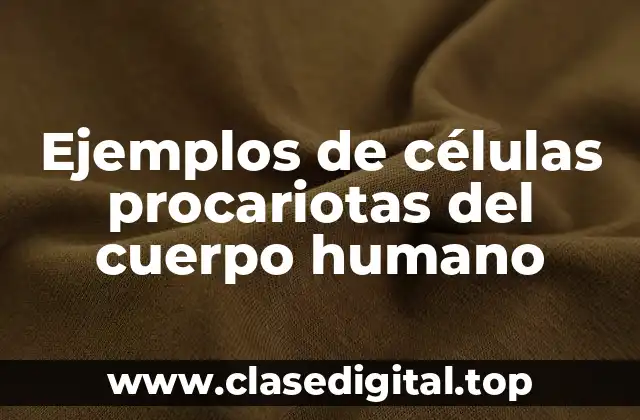 Ejemplos de células procariotas del cuerpo humano