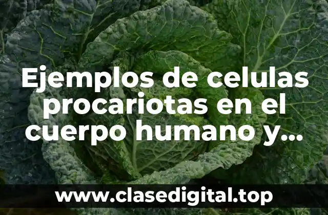 Ejemplos de celulas procariotas en el cuerpo humano