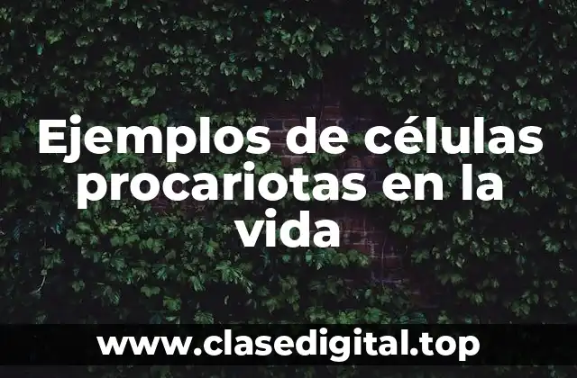 Ejemplos de células procariotas en la vida