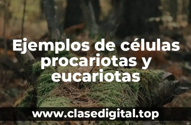 Ejemplos de células procariotas y eucariotas