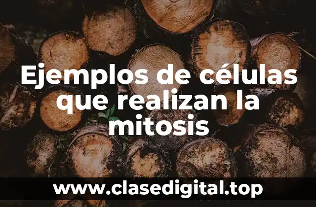 Ejemplos de células que realizan la mitosis