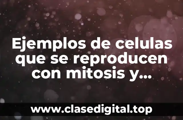 Ejemplos de celulas que se reproducen con mitosis y Significado