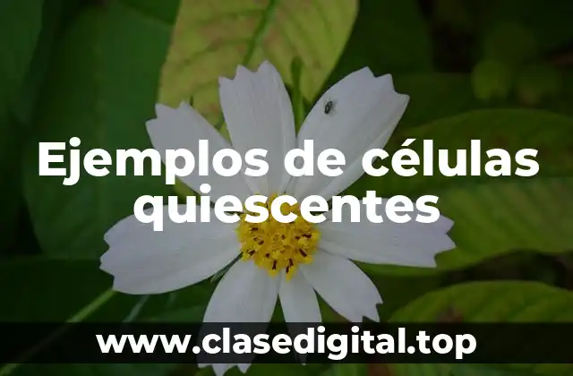 Ejemplos de células quiescentes