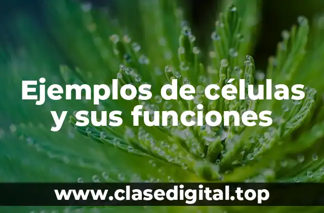 Ejemplos de células y sus funciones