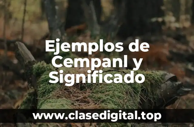 Ejemplos de Cempanl y Significado