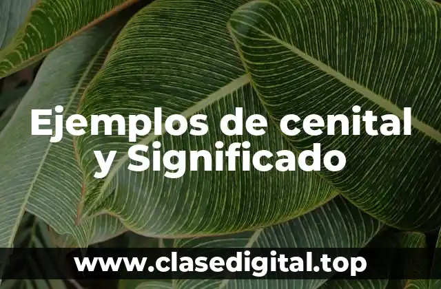 Ejemplos de cenital y Significado