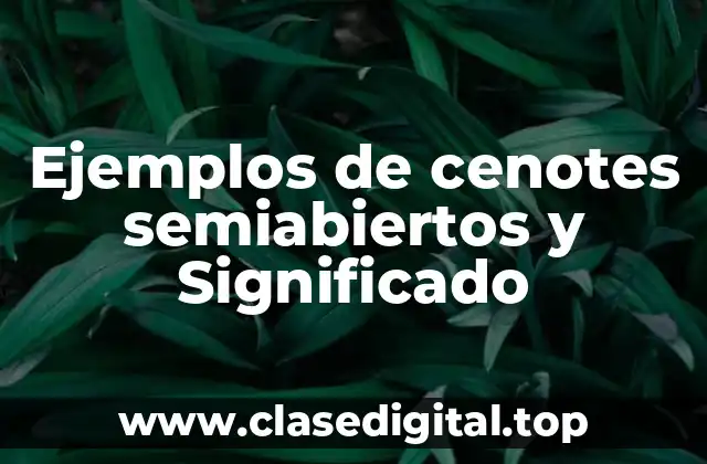 Ejemplos de cenotes semiabiertos