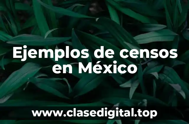 Ejemplos de censos en México