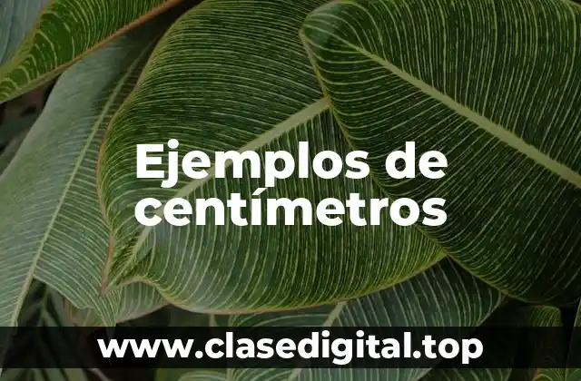 Ejemplos de centímetros