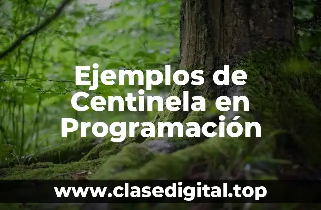Ejemplos de Centinela en Programación