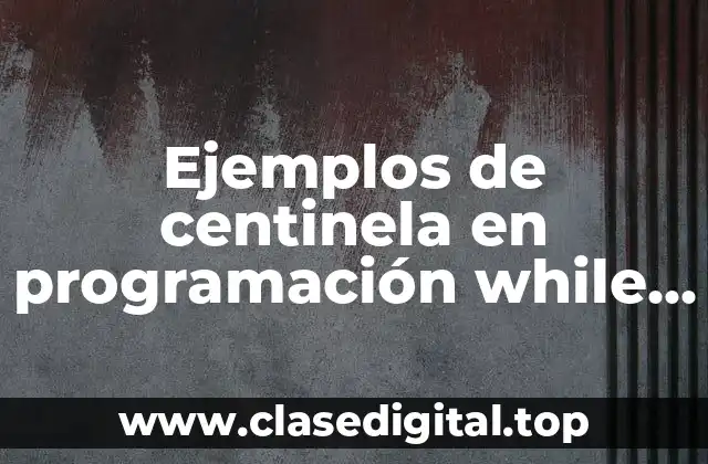 Ejemplos de centinela en programación while y Significado