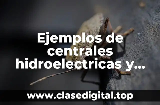 Ejemplos de centrales hidroelectricas y Significado