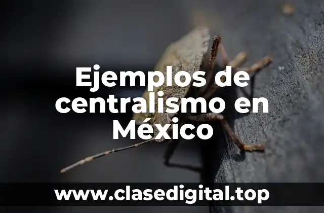 Ejemplos de centralismo en México