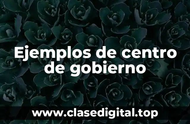 Ejemplos de centro de gobierno