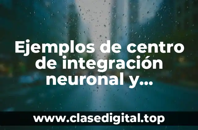 Ejemplos de centro de integración neuronal y Significado