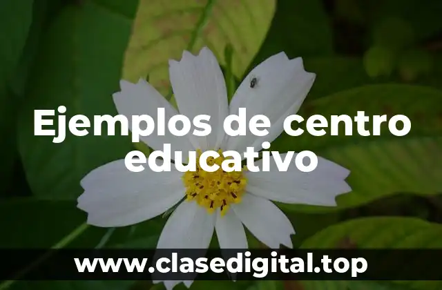 Ejemplos de centro educativo