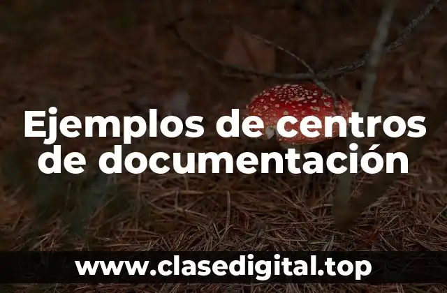 Ejemplos de centros de documentación