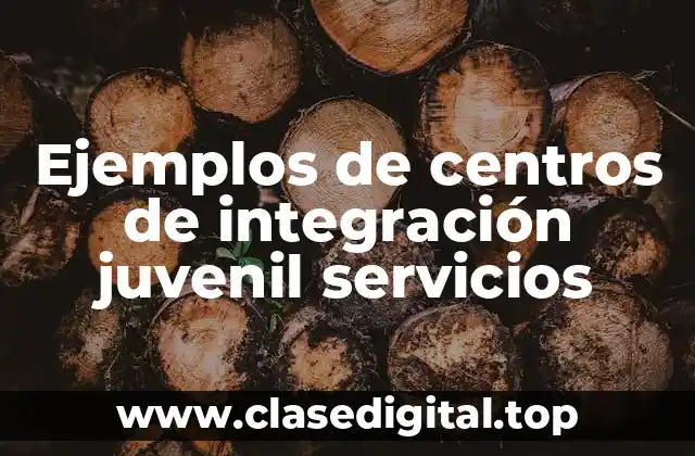 Ejemplos de centros de integración juvenil servicios