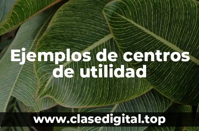 Ejemplos de centros de utilidad