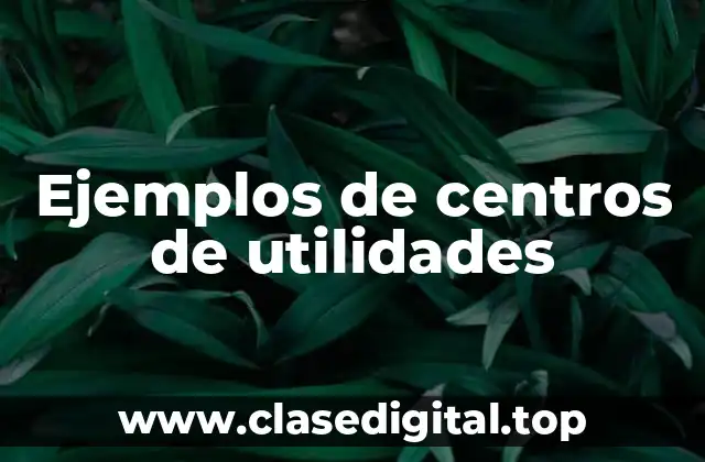 Ejemplos de centros de utilidades