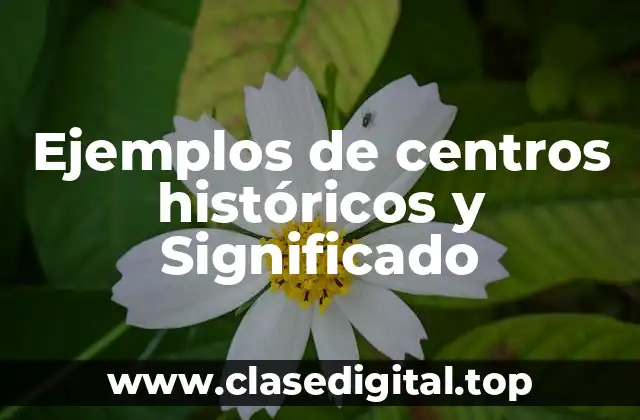 Ejemplos de centros históricos y Significado