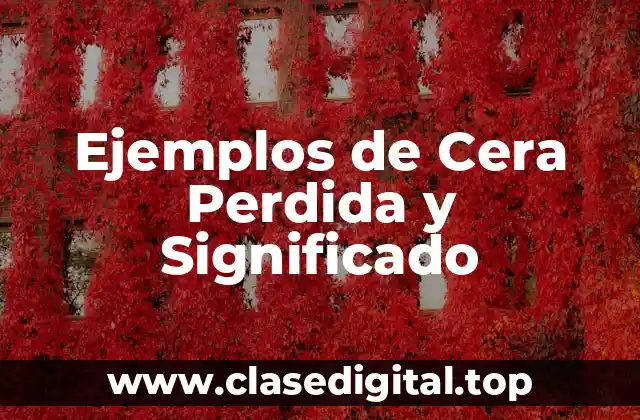 Ejemplos de Cera Perdida y Significado