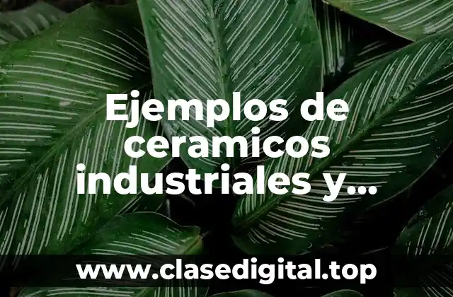 Ejemplos de ceramicos industriales y Significado