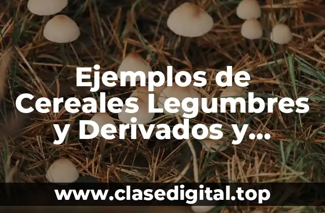 Ejemplos de Cereales Legumbres y Derivados