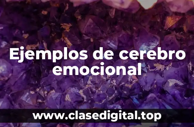 Ejemplos de cerebro emocional