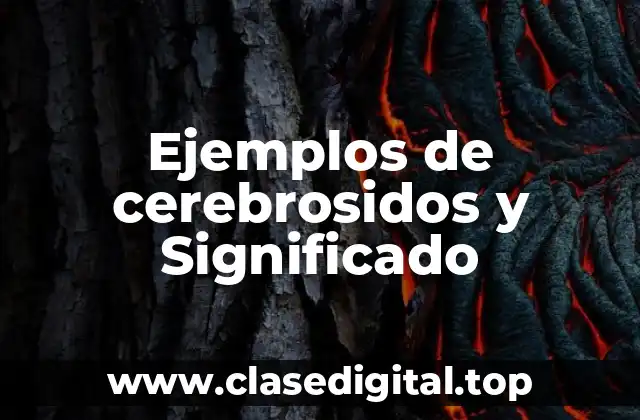 Ejemplos de cerebrosidos y Significado