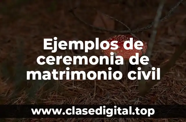 Ejemplos de ceremonia de matrimonio civil
