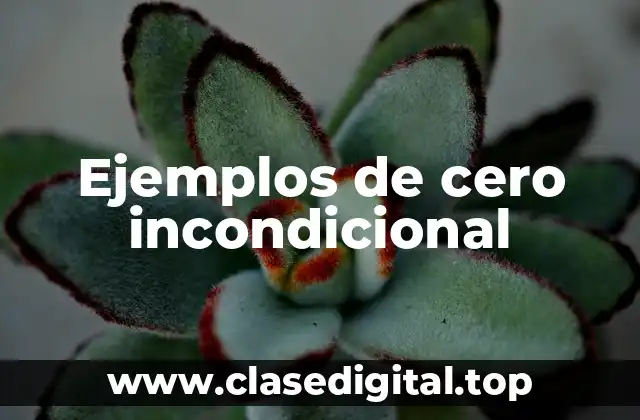 Ejemplos de cero incondicional