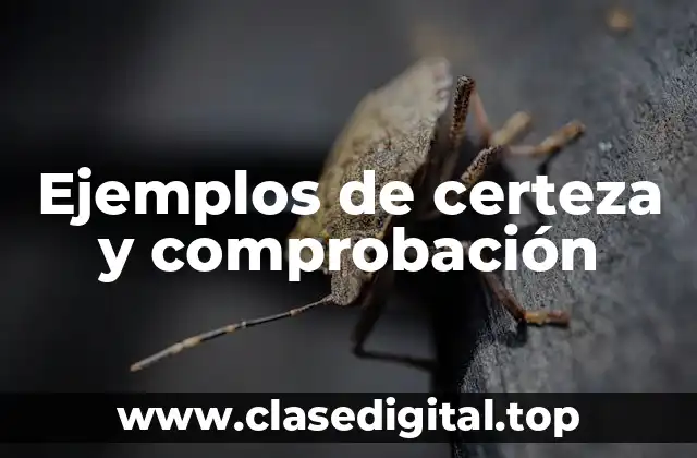 Ejemplos de certeza y comprobación