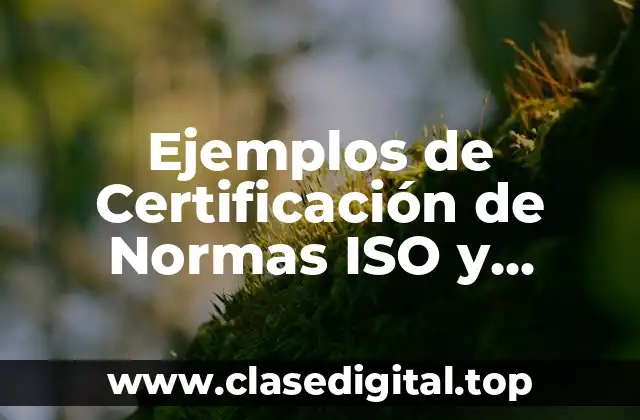 Ejemplos de Certificación de Normas ISO