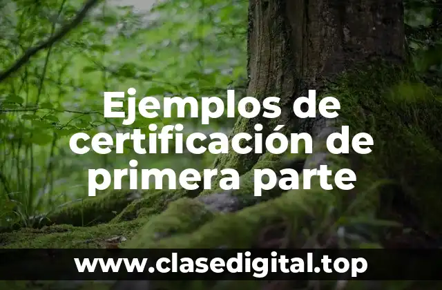 Ejemplos de certificación de primera parte