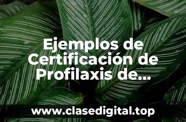 Ejemplos de Certificación de Profilaxis de Resistencia a los Fármacos (CPFR) y Significado