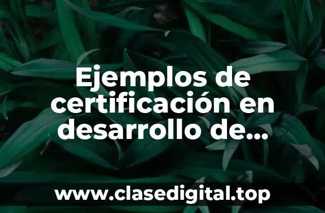 Ejemplos de certificación en desarrollo de software y Significado