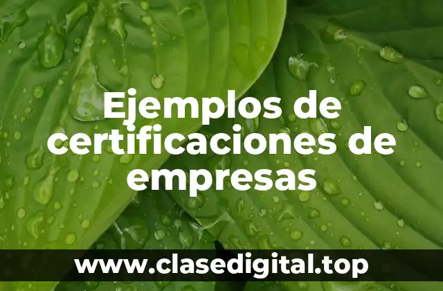 Ejemplos de certificaciones de empresas