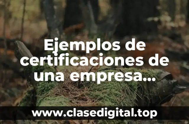 Ejemplos de certificaciones de una empresa industrial