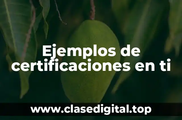 Ejemplos de certificaciones en ti