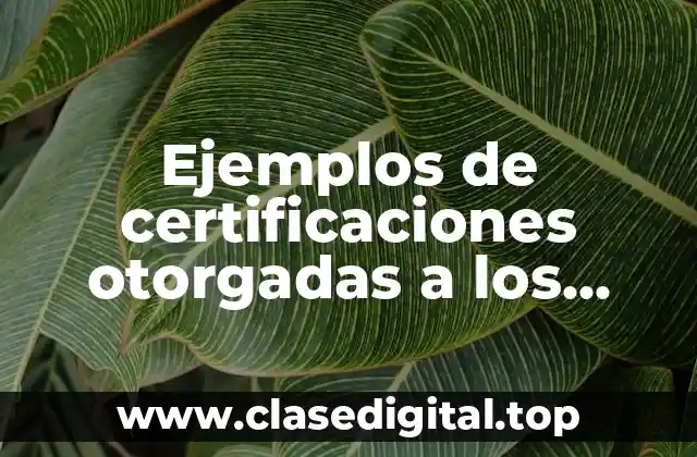 Ejemplos de certificaciones otorgadas a los enfermeros y Significado