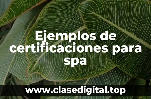 Ejemplos de certificaciones para spa