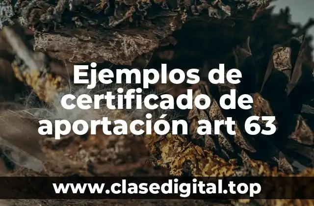 Ejemplos de certificado de aportación art 63