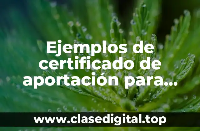 Ejemplos de certificado de aportación para capital de riesgo