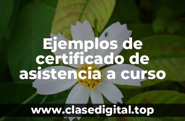 Ejemplos de certificado de asistencia a curso