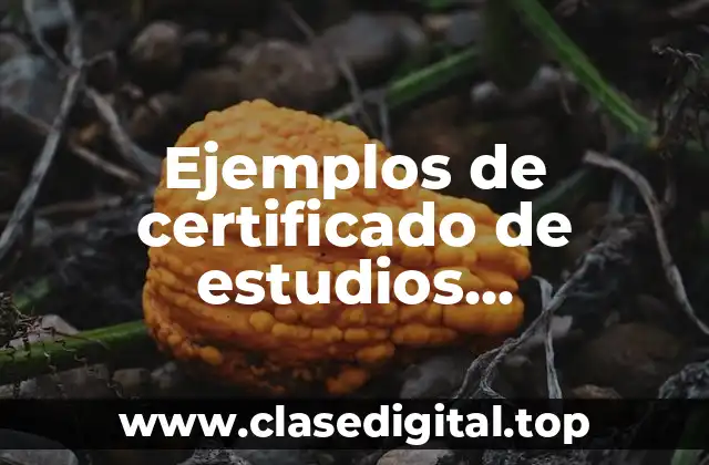 Ejemplos de certificado de estudios secundarios y Significado