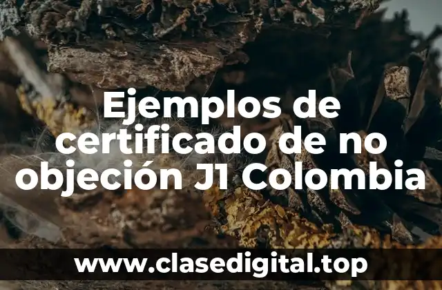Ejemplos de certificado de no objeción J1 Colombia