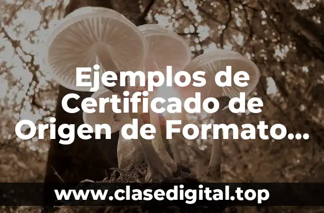 Ejemplos de Certificado de Origen de Formato Controlado