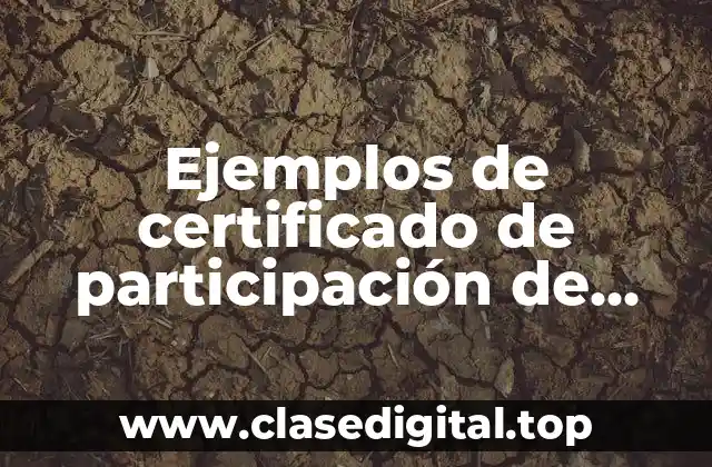 Ejemplos de certificado de participación de torneo de domino